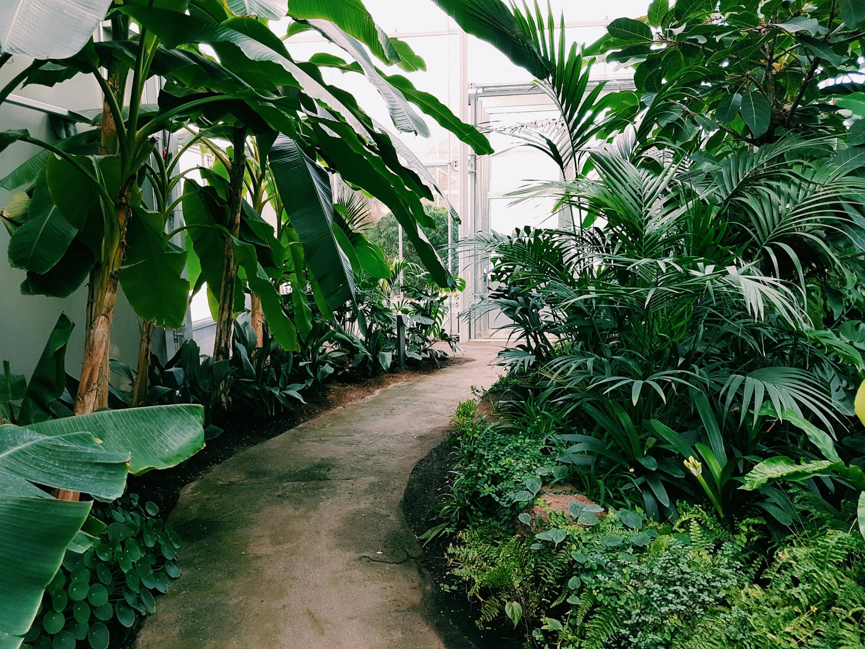 The Role of Landscaping Companies in Shaping Outdoor Spaces