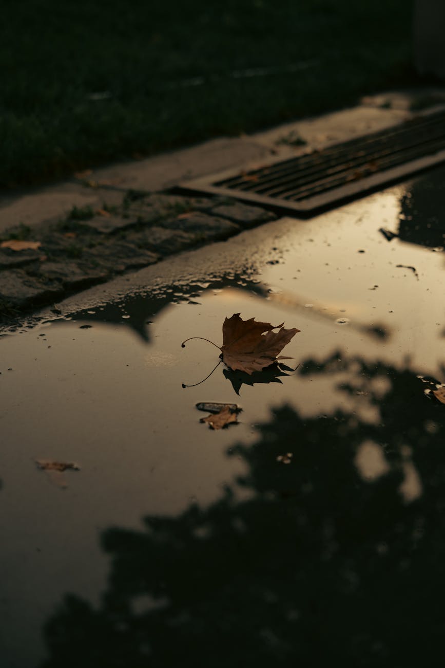 Realistic Pricing For Drain Work And How To Avoid Paying Twice
